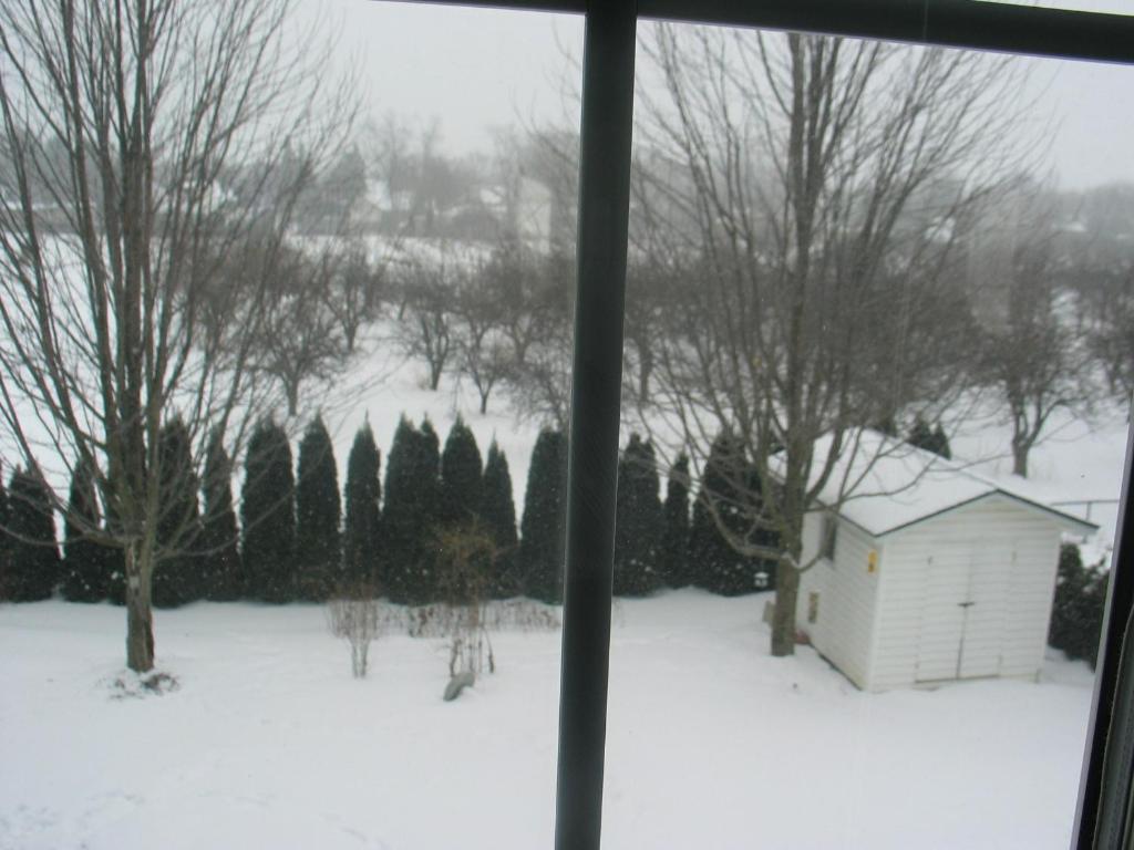 مبيت وإفطار Niagara-on-the-Lake Arnica Bed & Breakfast المظهر الخارجي الصورة